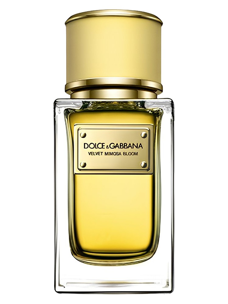 Velvet Mimosa Bloom Dolce&Gabbana for women 100ML